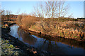 River Lossie Reflections