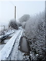 Frosty Track to Shilley Green Farm