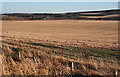 NJ0658 : Stubble Field near Easter Newforres by Anne Burgess