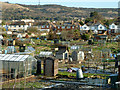 Park Farm Road Allotments