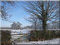 Snow-covered fields near Eden Farm