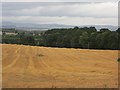 Harvested field near Mains of Stobhall