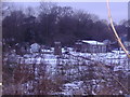 Allotments by Gordon Road, Finchley