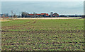 Fields towards Mareham Lane Farm