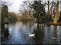 Mesnes Park Lake, Wigan