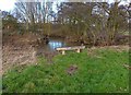 Seat along Rothley Brook