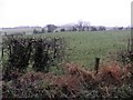 Tattysallagh Townland