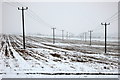 Electricity wires across a snowy field