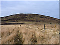 NY1828 : Slopes rising to Ling Fell from south-east by Trevor Littlewood