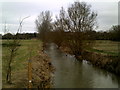 River Evenlode at Shipton-under-Wychwood