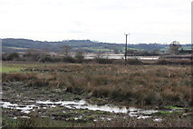 TQ7610 : Fields by 1066 Country Walk near Adam's Farm by Oast House Archive