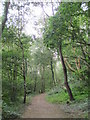 Path in Jarvis Brook Country Park