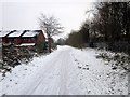 The Millennium Greenway, Chester