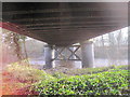 Piers and Underside of Railway Bridge