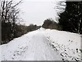 The Millennium Greenway, Chester