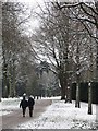 Path into Bute Park, Cardiff