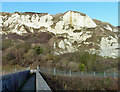 Cliffs above Folkestone Warren