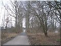 SD4862 : Footpath and cycleway north of Skerton Bridge by John Slater