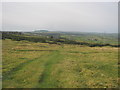 A footpath north west across Cockfield Fell