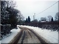 SO9666 : A Snowy Woodgate Road by Rob Newman