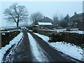 Towards Low House Farm, Timble