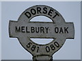 ST5808 : Melbury Osmond: detail of Melbury Oak signpost by Chris Downer