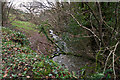 Looking downstream from a bridge near Clockhay Wood