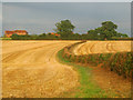 Path to Muskham Woodhouse Farm