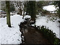 Corscombe: stream opposite the Fox Inn