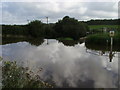 Whalesborough Weir