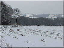 ST1072 : Snowy fields near St Lythans by Gareth James