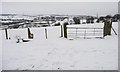 Field gate, north of Bunkers Hill