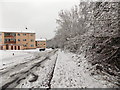 Snowy Hargreaves Drive, Newport