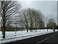 Wakefords Way after recent snow