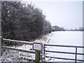SK3330 : Civil parish boundary hedges by Ian Calderwood
