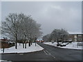 Wildcroft Road in the snow