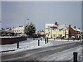 Tanfield Grove off Taylor Avenue, Hull