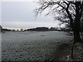 Pasture near Hyndford Farm