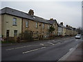 Houses on Newton Road