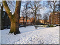 Oakley Square Gardens in snow