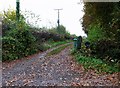 Access road to Havencroft Farm, Havenstreet