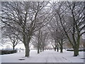 Sheffield Park in the snow