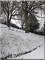 Linton Gardens in snow