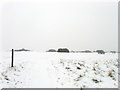 Footpath, Hollingbury Park Golf Course