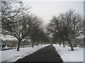 Central Avenue, Rose Hill Cemetery