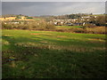 Meadow by Old Newton Road