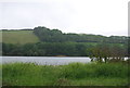 SX8243 : Woods above Slapton Ley by N Chadwick