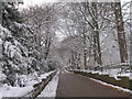 Butt Lane, Haworth