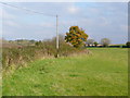 Fields by the Abberton Road