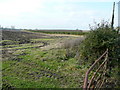 Arable land by the Flyford Road